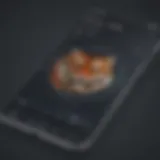 User-friendly interface of the AssetTiger app