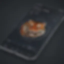 User-friendly interface of the AssetTiger app