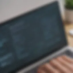 User interface of popular note-taking software