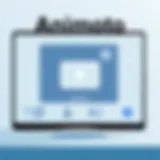 User Interface of Animoto Software showcasing intuitive design
