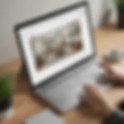 User interface of Houzz Pro showcasing design tools