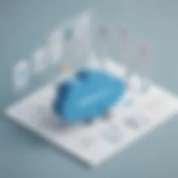A visual representation of the Salesforce Partner Community pricing tiers.