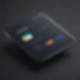Secure online payment interface