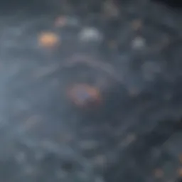 Graphical representation of microanalytics in business