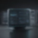 Visual representation of Passbase verification technology.
