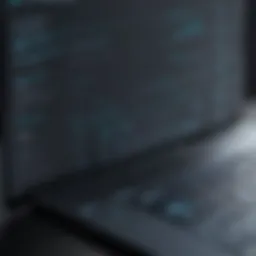Illustration of digital payroll software interface