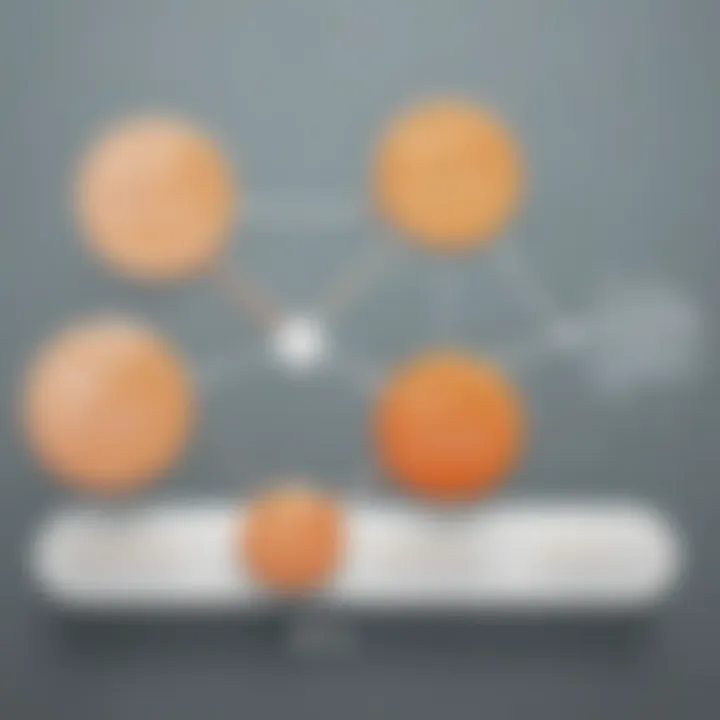 Diagram outlining the implementation strategy for Costpoint